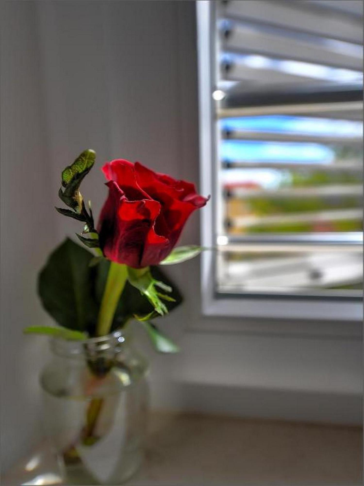 ספליט Via Porto Rooms חדר תמונה